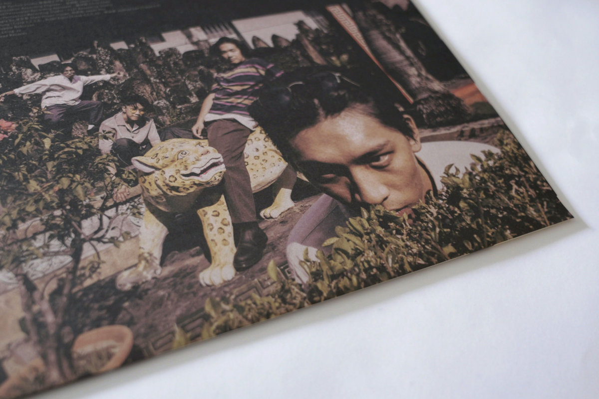 deca joins/鳥鳥鳥Bird And Reflections/彩膠(LP Version) | Airhead