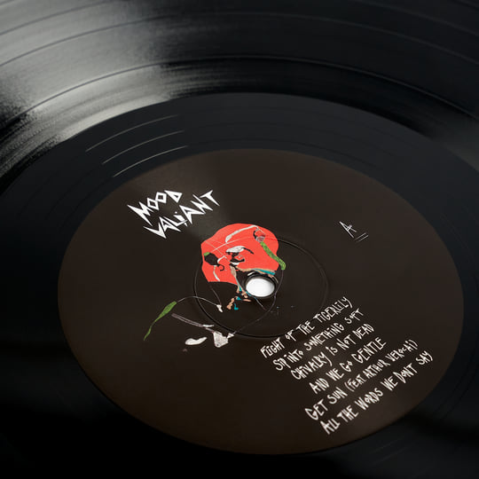 Mood Valiant | Hiatus Kaiyote