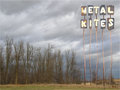 Metal Kites image