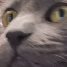 danrcross thumbnail