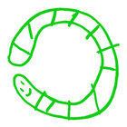 nematode thumbnail