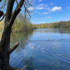 Steve Waterfall thumbnail
