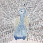tsunaobou thumbnail