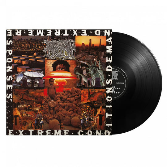 Extreme Conditions Demand Extreme Responses (Full Dynamic Range