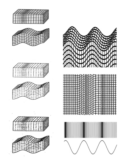 Seismic Wave Propagation | Seismic Wave
