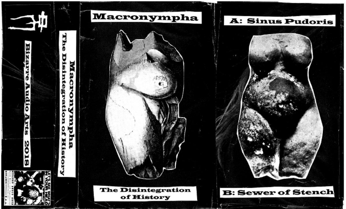 'Sinus Pudoris' Bizarreshampoo