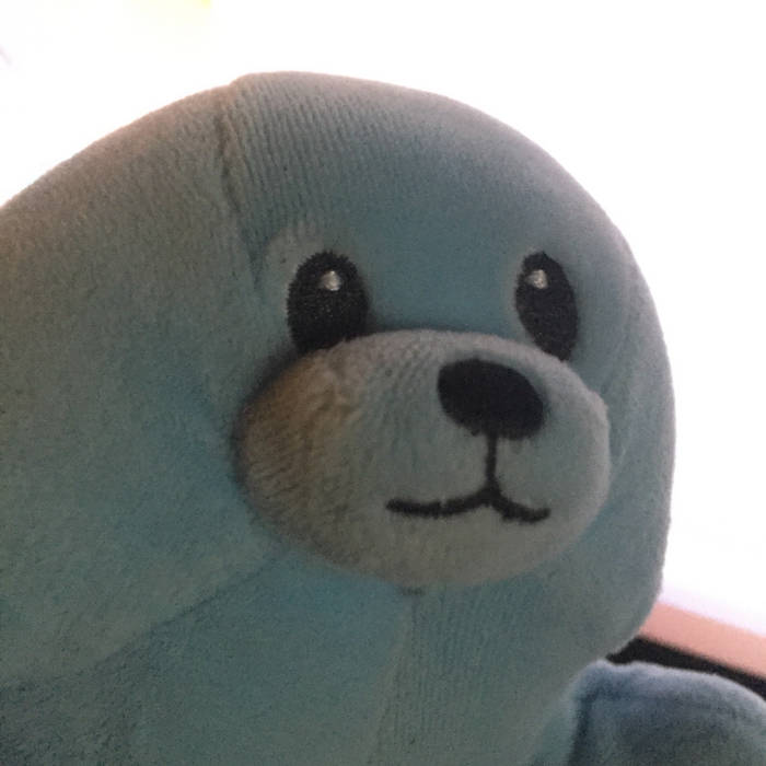 blue seal cover