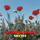 Vena Portae  thumbnail