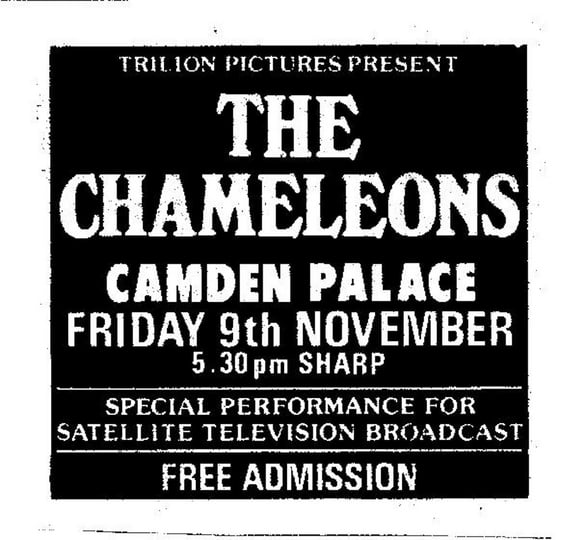 Live at The Camden Palace | The Chameleons | Moochin' About