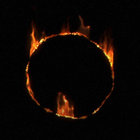 Waldfreund thumbnail