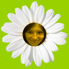 kashastieber thumbnail