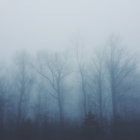 spectral collapse thumbnail