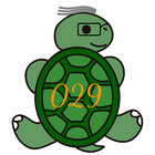 turtle029 thumbnail