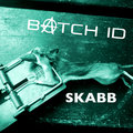 BATCH ID image