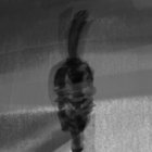 betbread thumbnail