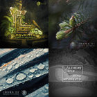 djaneflow thumbnail
