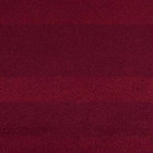 zhanghanpqqo thumbnail