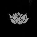 LOTUS image