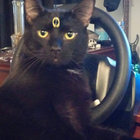 Keta-Cola thumbnail