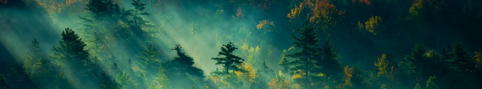 Josh Teed — Photo