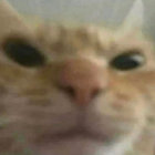 willhs thumbnail