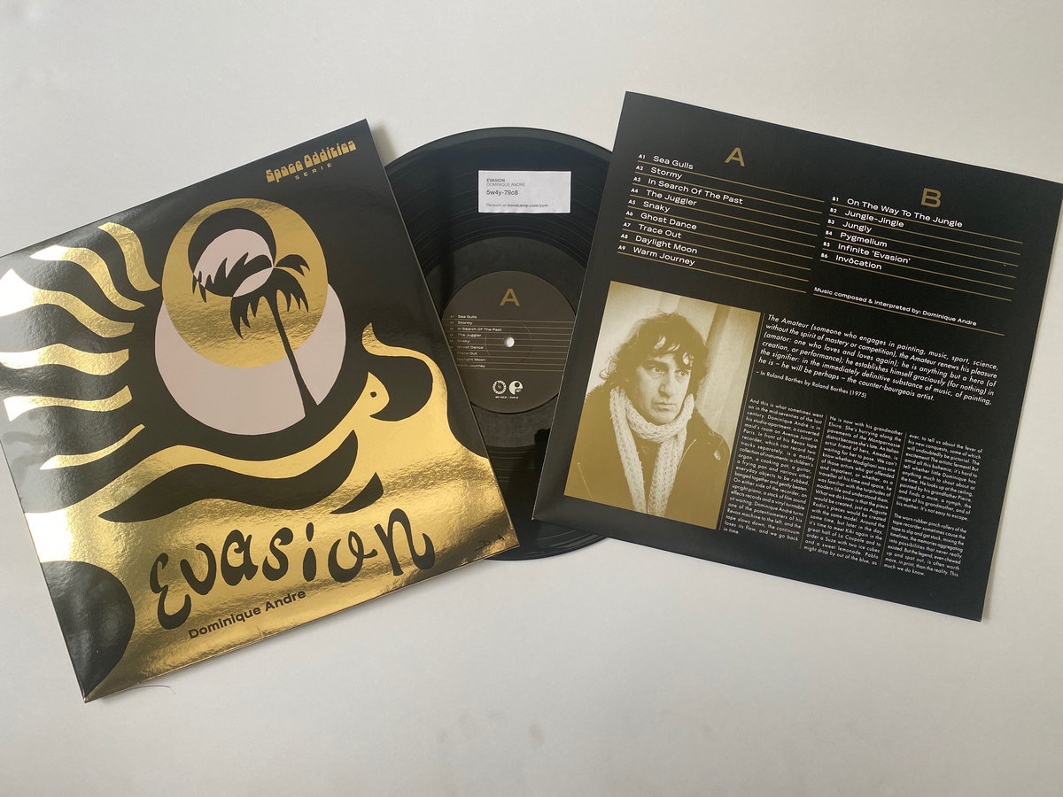 Evasion Dominique Andre Space Oddities