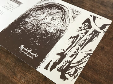 12" Black Vinyl LP, Limited Edition Silk-Screen Printed Sleeve main photo