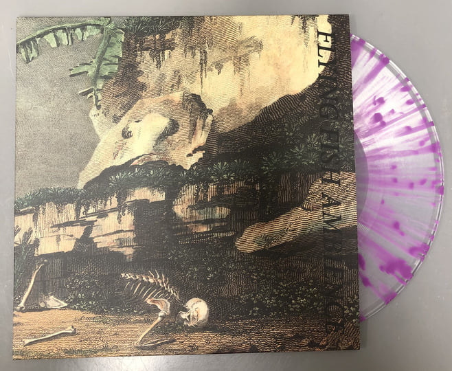Flying Fish Ambience | Rainforest Spiritual Enslavement