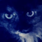 enrico.rennella thumbnail