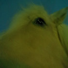 ksa thumbnail