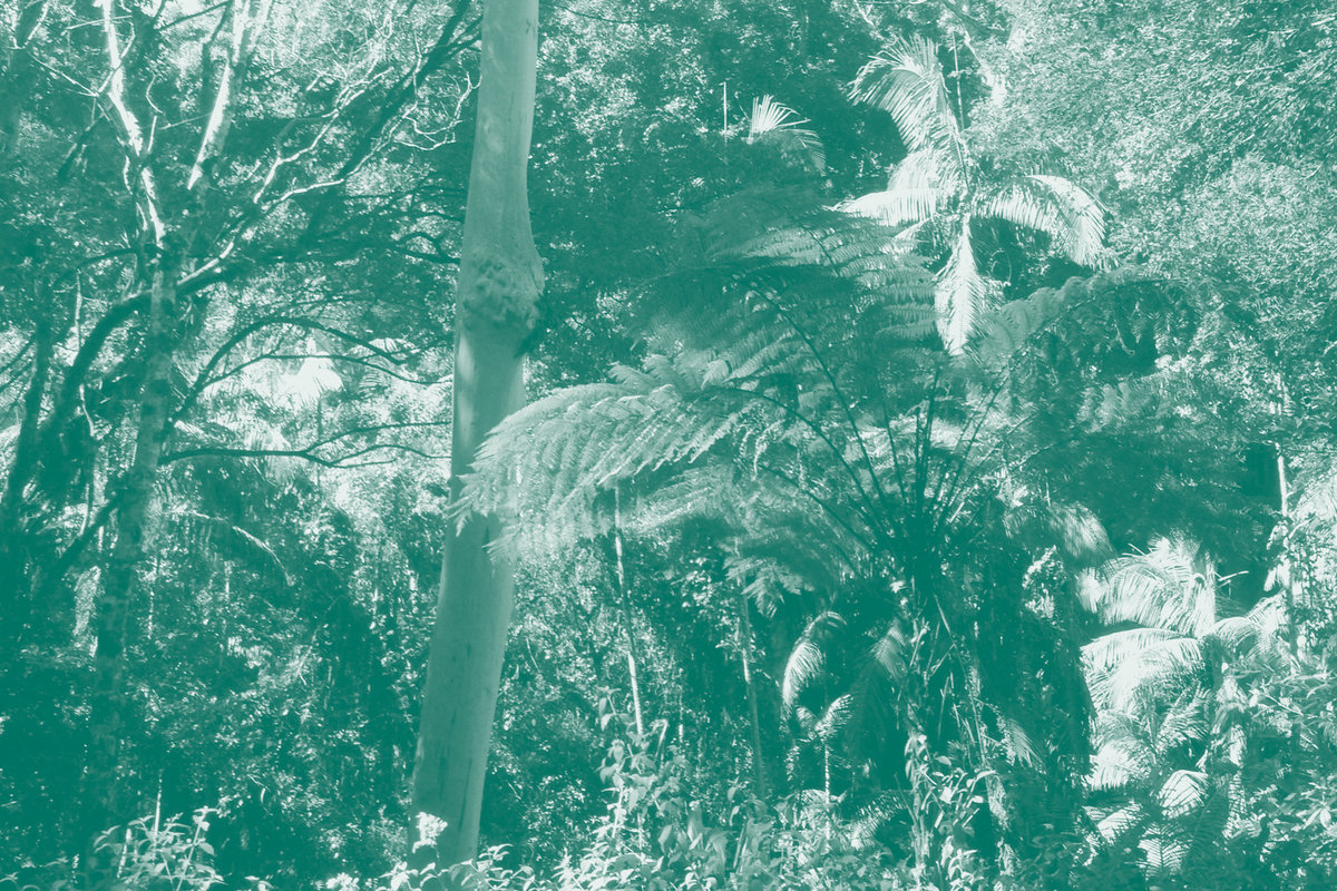 Breathing Spirit Forms David Toop Akio Suzuki Lawrence English Lawrence English Breathing Spirit Forms David Toop Akio Suzuki Lawrence English Lawrence English