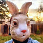 jeremiahpwhite thumbnail