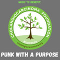 Punk With A Purpose image