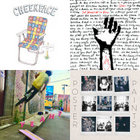 Our Earthly Pleasures | Maximo Park | Warp Records