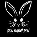 Run Rabbit Run image