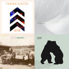 Sleepingdog - Polar Life | Chantal Acda
