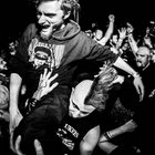 Argeodeema thumbnail