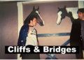 Cliffs & Bridges image