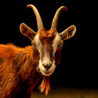 Goat Mower thumbnail