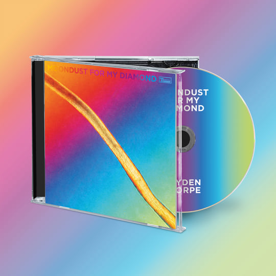 Moondust For My Diamond | Hayden Thorpe