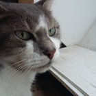 thierrybrittany thumbnail