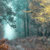 Bandcamp profile picture for @ecosystems