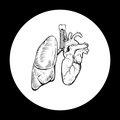 Płucoserce image