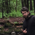 davy lazar thumbnail