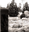 Evans City Cemetery image