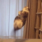 Nhorr thumbnail