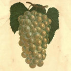 almanac_editor thumbnail