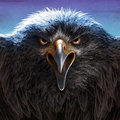 Águila Negra image