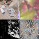 frgm-ntsdis56 thumbnail