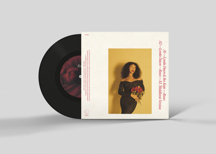 Lynda Dawn / 11th Hour 新品未開封 2nd LP Lynda Dawn's Thoughtfully Conceived, Exquisitely Executed